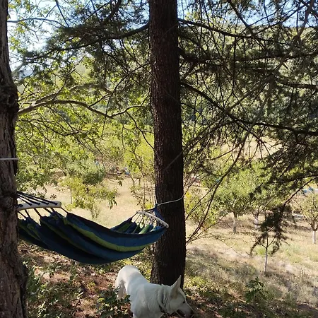 Casa vacanze Iza Sedam Gora