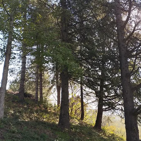 Iza Sedam Gora Casa vacanze