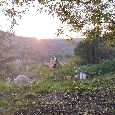 Iza Sedam Gora Casa vacanze